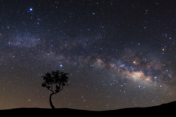 Landscape silhouette of tree with milky way galaxy and space dust in the universe, Night starry sky with stars