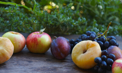 Black grapes, yellow leaves, various fruits on a blackboard