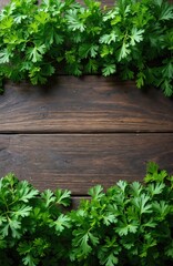Fresh green parsley arranged on rustic wooden background. Healthy culinary herb top view. Organic plant ingredient for cooking dishes. Vegetarian food. Culinary design with copyspace.