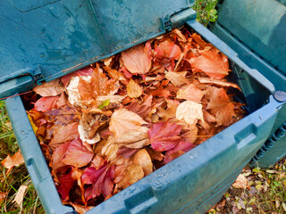 Compost bin full of autumn leaves to provide leaf mulch
