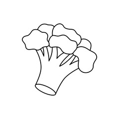 Broccoli outline symbol. Fresh organic vegetable. Natural vegetarian food. Healthy eating. Vector illustration