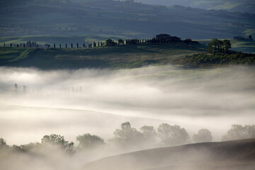 Misty landscape at sunrise in Val d'Orcia, near San Quirico d'Orcia, Tuscany, Italy