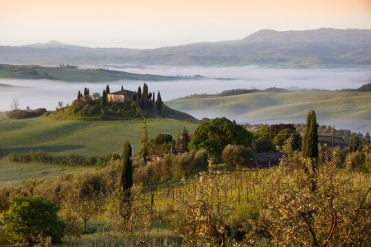 The Belvedere farmhouse in Val d&rsquo;Orcia with early morning fog, San Quirico d'Orcia, Tuscany, Italy