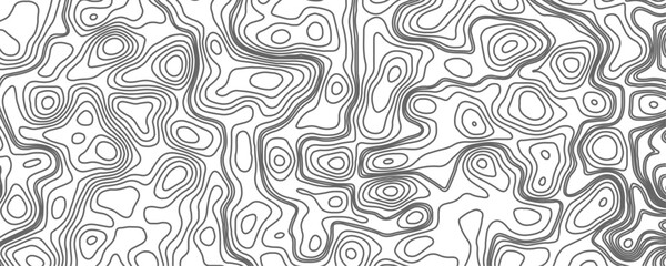 Minimalist topographic contour lines on a clean white background, smooth elevation curves, black fine lines, abstract geographic map style, elevation lines forming organic shapes, high contrast, 