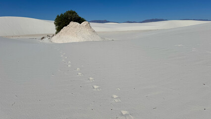 White Sand Dunes National Park
