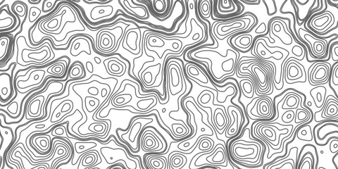 Minimalist topographic contour lines on a clean white background, smooth elevation curves, black fine lines, abstract geographic map style, elevation lines forming organic shapes, high contrast, 