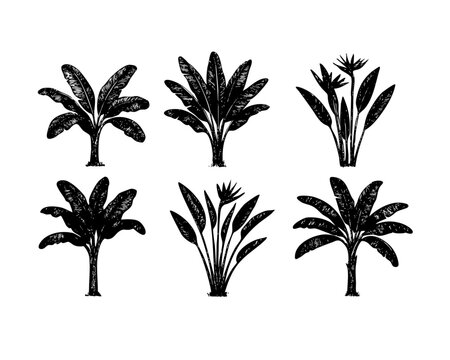 banana palm tree silhouette vector tropical banana leaf tree clipart black and white palm illustration isolated botanical graphic plant jungle transparent vector