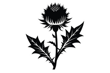 Graphic Black Silhouette of a Thistle Flower with Spiky Leaves and Stem Design