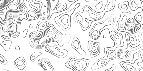Minimalist topographic contour lines on a clean white background, smooth elevation curves, black fine lines, abstract geographic map style, elevation lines forming organic shapes, high contrast, 