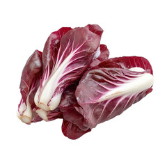 Obraz premium Fresh red radicchio with vibrant colors and distinctive leaves ready for culinary use, Fresh red radicchio isolated on white background