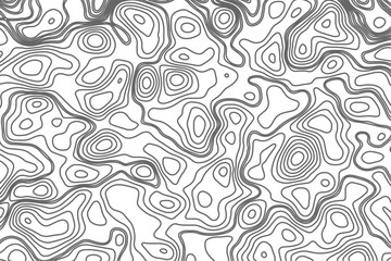 Minimalist topographic contour lines on a clean white background, smooth elevation curves, black fine lines, abstract geographic map style, elevation lines forming organic shapes, high contrast, 