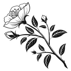 Elegant floral silhouette with leaves and flower buds shows natural plant beauty nicely