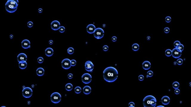 Dynamic Animation of Blue O2 Oxygen Bubbles Floating and Multiplying Against a Black Background Science, Chemical, and Abstract Concept Loop