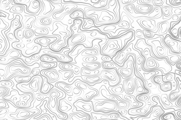 Minimalist topographic contour lines on a clean white background, smooth elevation curves, black fine lines, abstract geographic map style, elevation lines forming organic shapes, high contrast, 