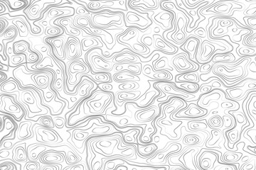 Minimalist topographic contour lines on a clean white background, smooth elevation curves, black fine lines, abstract geographic map style, elevation lines forming organic shapes, high contrast, 
