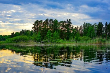 A tranquil lake scene with trees and reflections under a cloudy sky