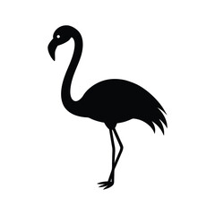 Tropical flamingo with curved neck in graceful standing bird silhouette