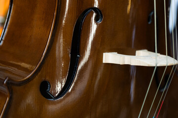 Elegant Wooden Cello, Classical String Instrument
