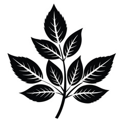 Black Leafy Branch Illustration with Detailed Veins and Serrated Edges in Bold Style