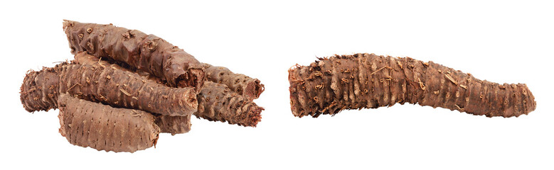 Rhodiola rosea root isolated on white background with full depth of field