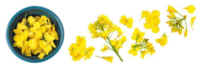 Rapeseed flowers in ceramic bowl isolated on white background, Top view. Flat lay