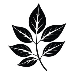 Simple Black Leaf Branch Illustration Six Leaves with Distinct Veins and Pointed Tips