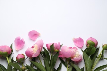 Greeting card with beautiful peony flowers on white background, flat lay. Space for text
