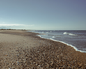Seashells scattered on sandy beach with sea waves in the background, captured in natural daylight