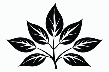 Black Leaf Arrangement Graphic Botanical Illustration Featuring Intricate Veins and Stem Design