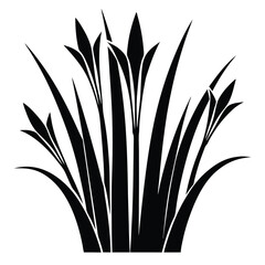 Fototapeta premium Bold Black Silhouette of Iris Flowers with Elongated Leaves Graphic Art