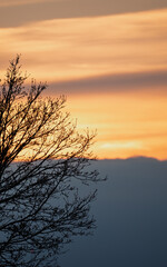 Sunset Sky Colorful Cloud Nature Twilight Evening Silhouette Branch Tree Outdoor Calm Peaceful...