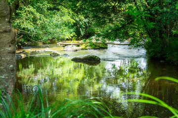 Hiking along the Mitternacher Ohe Stream in the bavarian Forests in Germany