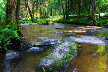 Obraz premium Hiking along the Mitternacher Ohe Stream in the bavarian Forests in Germany