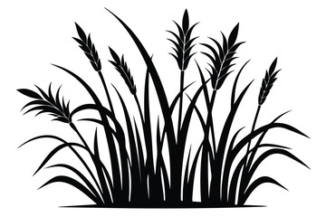 Black Silhouette Illustration of Grass and Wheat Stalks, Isolated Botanical Design Element