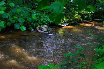Obraz premium Hiking along the Mitternacher Ohe Stream in the bavarian Forests in Germany