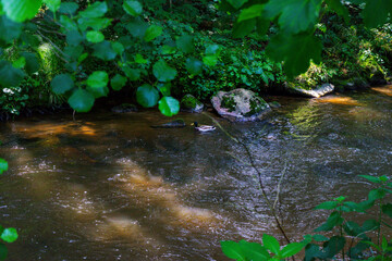 Hiking along the Mitternacher Ohe Stream in the bavarian Forests in Germany