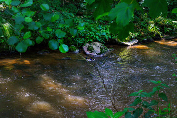 Hiking along the Mitternacher Ohe Stream in the bavarian Forests in Germany
