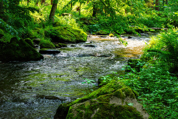 Obraz premium Hiking along the Mitternacher Ohe Stream in the bavarian Forests in Germany