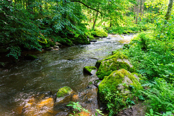 Obraz premium Hiking along the Mitternacher Ohe Stream in the bavarian Forests in Germany