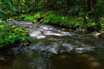 Hiking along the Mitternacher Ohe Stream in the bavarian Forests in Germany
