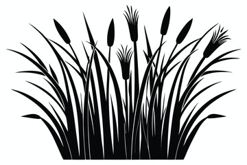 Cattails Silhouette with Reeds and Grasses Black and White Swamp Vegetation Design