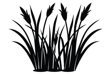 Black silhouette of a grass clump with seed heads, stylized design element