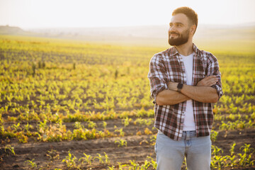Bearded agronomist looking away with crossed arms in cultivated corn field at sunset