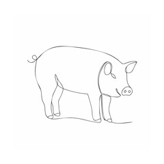 vector illustration of a pig