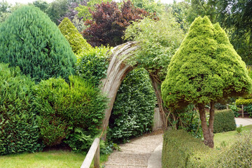 garden with trees