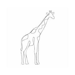 giraffe vector illustration