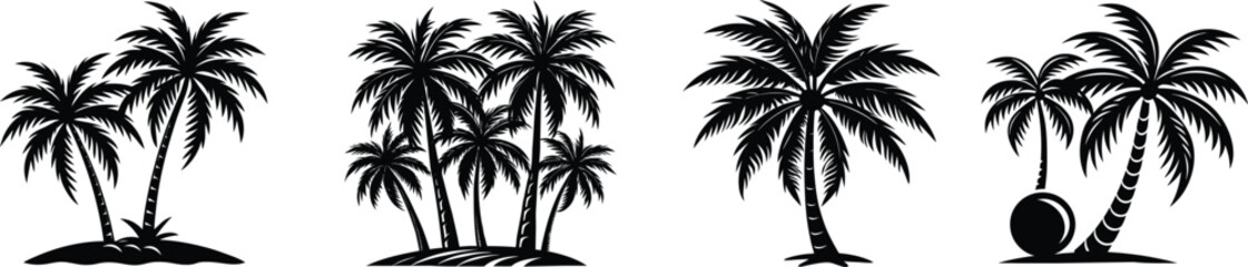 Palm trees set on a white backround .