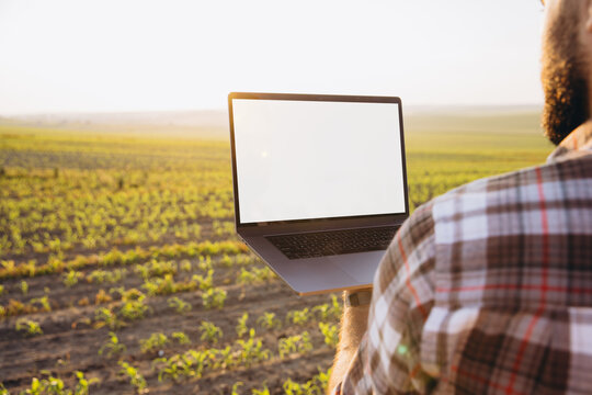 Agronomist using laptop with blank screen in corn field at sunset