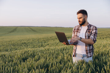 Agronomist using laptop in wheat field for smart farming