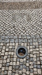 Letter E symbol in patterned stone pavement with circular light fixture